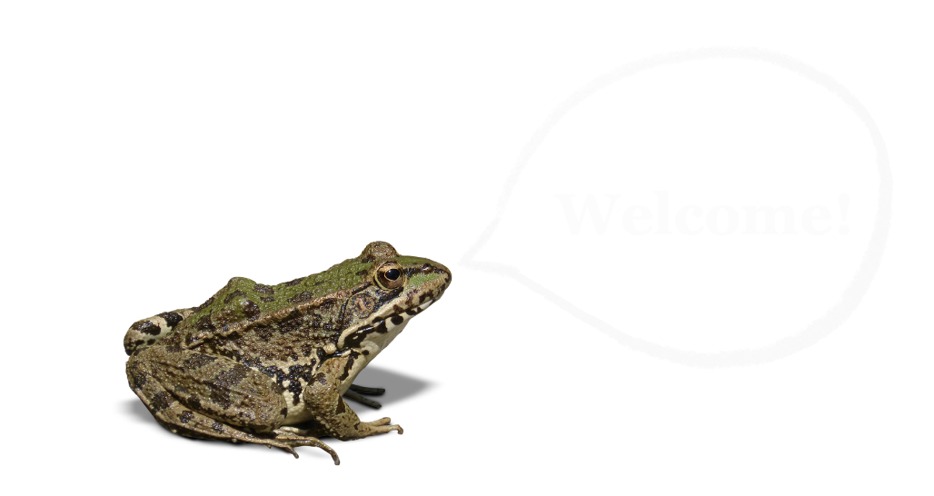 frog with speachbubble that says welcome